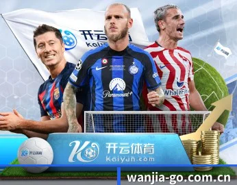 五大服务分区,信息按项目分类 - 多运动项目内容板块